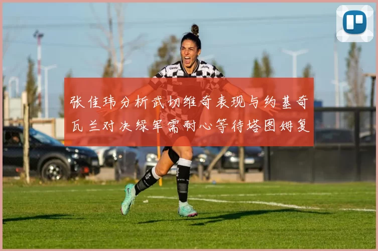 张佳玮分析武切维奇表现与约基奇瓦兰对决绿军需耐心等待塔图姆复出